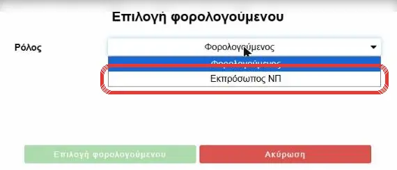 Ρόλος «Εκπρόσωπος ΝΠ»